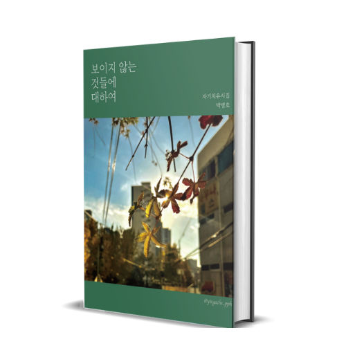 보이지 않는 것들에 대하여 표지