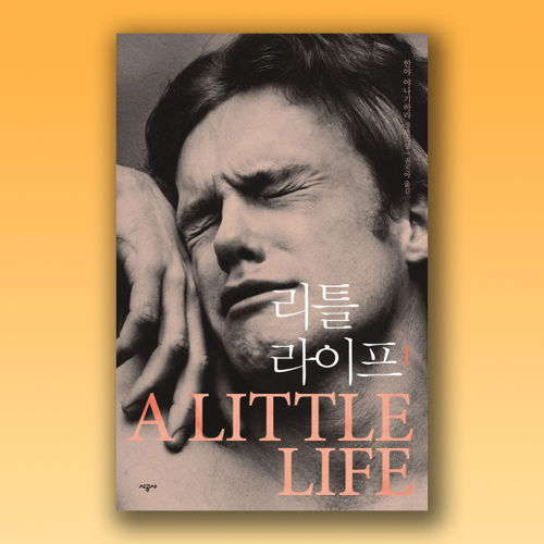 리틀 라이프 표지