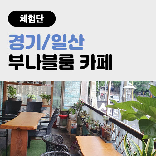 [경기/일산] 부나블룸 카페 체험단 표지