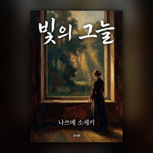 빛의 그늘 표지