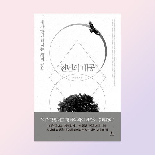천년의 내공 표지