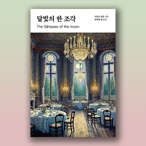달빛의 한 조각 표지