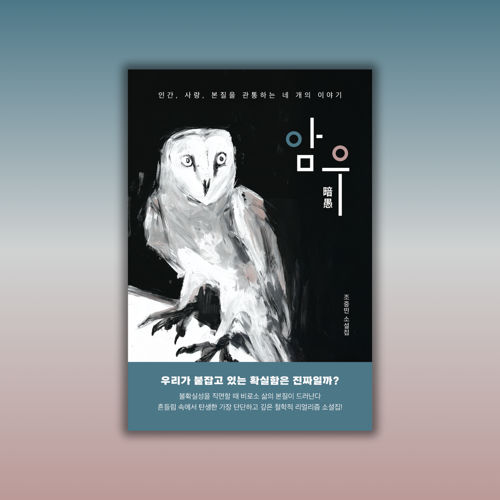 암우(暗愚) 표지